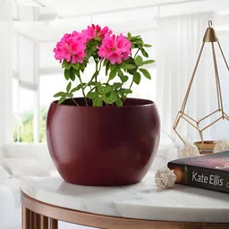 Homspurts Red Round Metal Planter-image-10