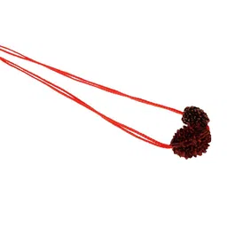 kesar zems Unisex Handcrafted Chain-image-54