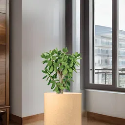 Go Hooked Brown 100% Recyclable Rust-Proof Unbreakable Tube Flower Planter image 5