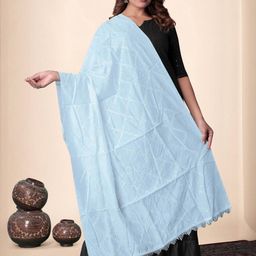 EBADAT Embroidered Blue Cotton Dupatta-10