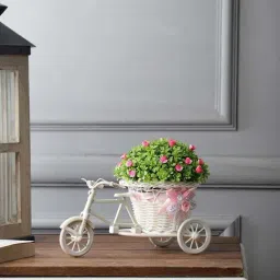 Foliyaj Multicolor Plastic Rickshaw Plant With Small Flowers-image-95