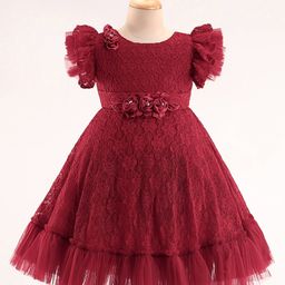 Bluebell Lace DC Half Sleeve Lace Party Frock With Floral Applique - Maroon-image-10