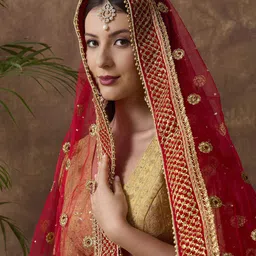 Dupatta Bazaar Embroidered Dupatta with Zardozi image 5