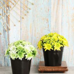 Foliyaj Multicolor Plastic Artificial Plants With Gerba Flowers - Set of 2-64