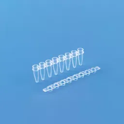 Tarson 0.2 ml Dome Maxiamp Tubes Strips with Cap 610050-74