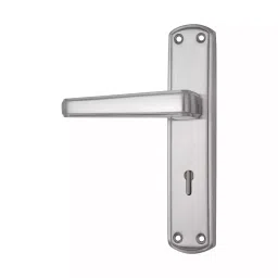 DiSS MH-Verna 2.5 Inch Brass SS Finish Door Handle Set-image-6