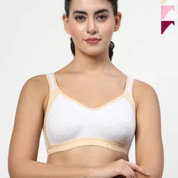 LILY Women Pack of 3 Seamless Full Coverage Bra-picture-22