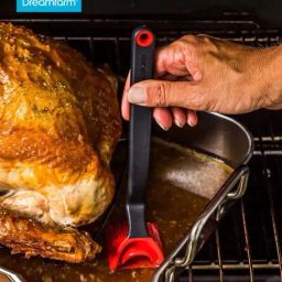 Dreamfarm Red Medium Basting Brush With Scoop Reservoir-23