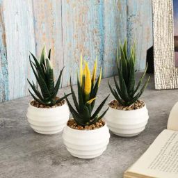 Foliyaj Multicolor Plastic Succulents With Pots - Set of 3-25