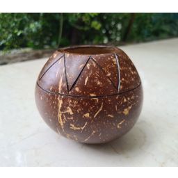 Thenga Coconut Shell Zig Zag Planter-15