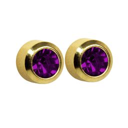 STUDEX 24K Pure Gold Plated Stainless Steel Amethyst Studded Circular Shaped Studs-35
