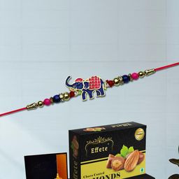 DeoDap Set Of 5 Multicoloured-image-84