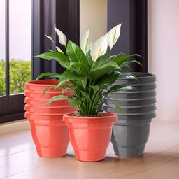 Kuber Industries Red & Black Set Of 12 Plastic 2-Layer Planters-31