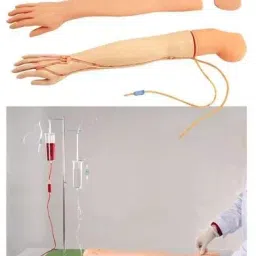 Khanna Traders Multifunctional Injectable IV Arm Model-picture-37