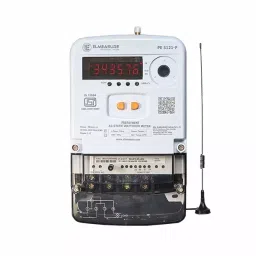 Elmeasure Single Phase Prepaid Meter with Accuracy Class 1, 10-60 A Direct Current, 2 Digital Input, PE5121P1160D-28