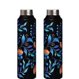 Speedex Multicoloured Single Stainless Steel Solid Water Bottle-image-40