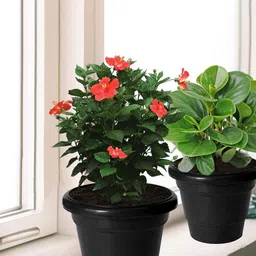 Kuber Industries 3-pcs Black 2 Layered Planters-21
