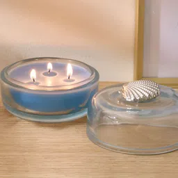 Home Centre Blue 1 pieces Jar Candle-image-72