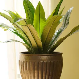 Pure Home and Living Gold-Toned Textured Metal Medium Planter-39