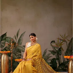 Silk Land Printed Ready To Wear Chanderi Saree-picture-19