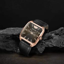 Police PLPEWJA0006002 Analog Watch for Men-picture-44