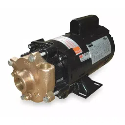 Dayton 1/3 hp Single Phase Centrifugal Pump, 2ZWR4-17