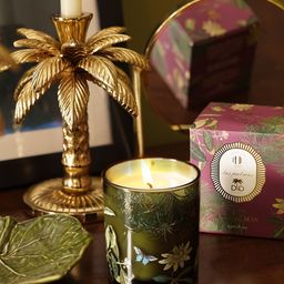 Pure Home and Living Green 1 pieces Jar Candle-picture-40