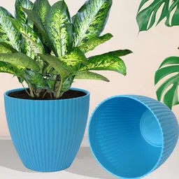 Kuber Industries Set Of 5 Multicolour Mega Flower Pot image 3
