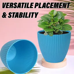 Kuber Industries Set Of 5 Multicolour Mega Flower Pot image 5