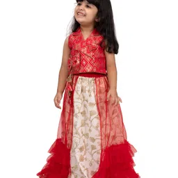 Elaisha Woven Sleeveless Floral Embroidered Ethnic Foil Printed Lehenga Choli Set - Red & White-picture-13