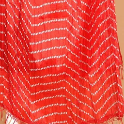 RajeRaj Printed Bandhani Dupatta-picture-14