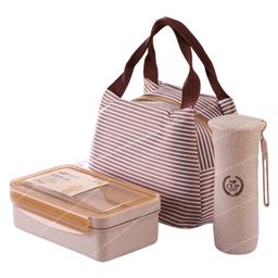 FunBlast Wheat Straw Fiber Lunch Box with Lunch Bag & Bottle - Brown-picture-17