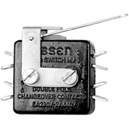 Essen Deinki 100 g Actuating force Micro Switch with Auxiliary Plain Lever, MV1SL1-picture-31