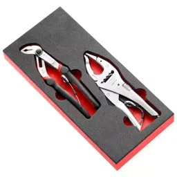FACOM SLS Foam Module For 2 Pliers, MODM.CPE1SLS-14