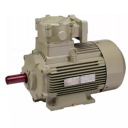 Hindustan 3 Phase 50 HP 2 Pole Foot Mounted Flame Proof Induction Motor 2FE3 207-0203-image-64