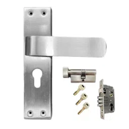 Cozi Gold 240x180x65 mm Stainless Steel and Brass Zinc Finish Mortise Door Handle 11003-CY-SS-image-89