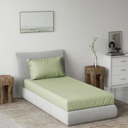 DDecor Spectrum Green 180 TC Cotton Single Bedsheet With 1 Pillow Covers-picture-24