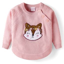 Babyhug Knit Full Raglan Sleeves Sweater With Kitty Embroidery - Pink-picture-44