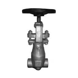 Leader 1 Inch, 25 mm Forged Cast Steel Wheel Operated Gate Valve FCS 005-picture-36