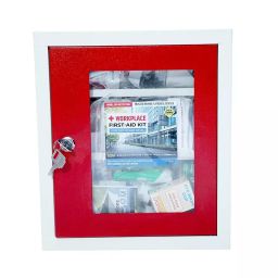 AOSSPL Red WP-INSTITUTION GMP Certificate First Aid Kit-picture-4