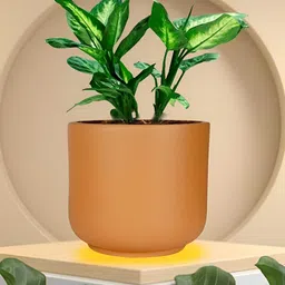 LASAKI Orin Bronze Small Ceramic Planters-image-61