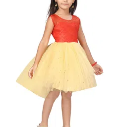 BAESD Net Fit & Flare Dress image 3