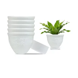 6 Inch Victor Pot for Plants with Saucer Tray-51