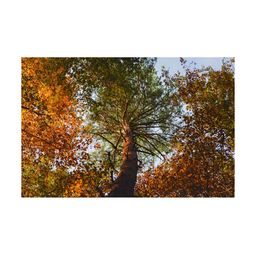 Inephos Yellow & Green Floral and Botanical Canvas Wall Art-18