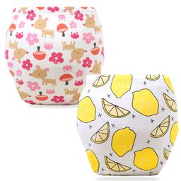Bembika Babies Cotton Potty Training Pants, Printed Design Pack 2, MSize - Multicolor-picture-26