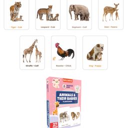 spartan kids Animals & Their Babies Flash Cards For Kids Easy & Fun Way Of Learning image 2