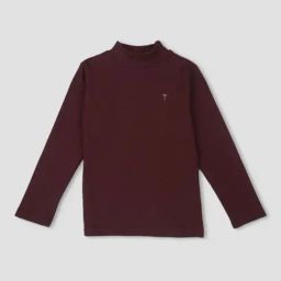 Palm Tree Kids Maroon Cotton Regular Fit Full Sleeves Skivvy-image-48