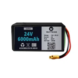 WATTNINE 24 V LiFePo4 6000 mAh Battery Black-43