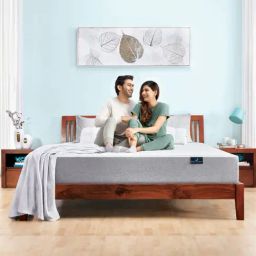 Doctor Dreams by Nilkamal Brown Wood King Acacia Bed-image-29