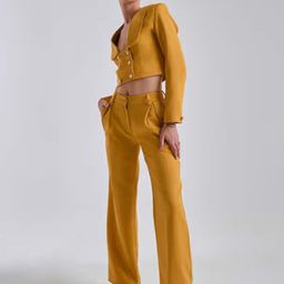PROT-OFFICIAL Women Relaxed Mid-Rise Pleated Trousers-image-69